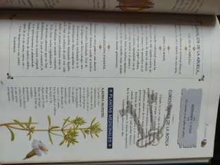 La botica de la abuela. Los remedios y consejos...