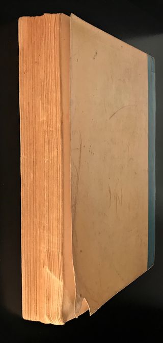 A filha dos Bosques de Raoul de Navery