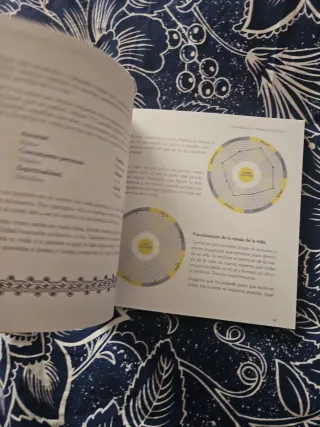 El libro de la meditación creativa: Técnicas y ...