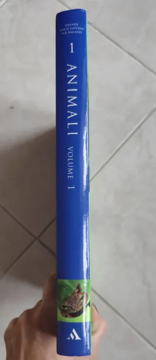 Libro animali / insetti