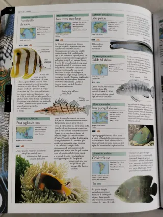 Libro animali / insetti