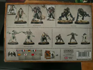 Warcry Royal Beastflayers Warhammer Age of Sigmar