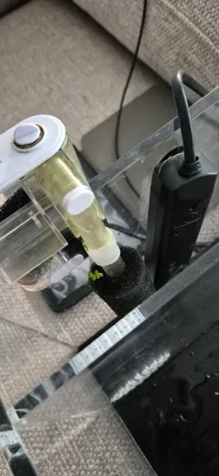 Acuario metacrilato 8mm Bétera