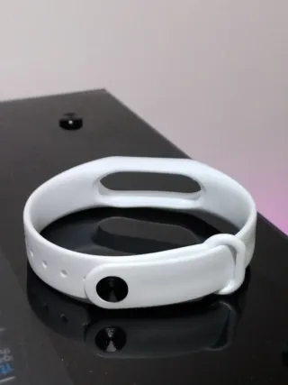 Due Cinturini per Xiaomi Mi Band 2