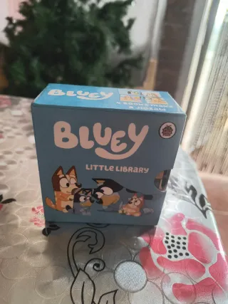 Bluey little library
