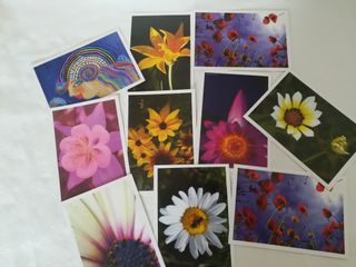 Lotto 50 pezzi biglietti con busta, floreali