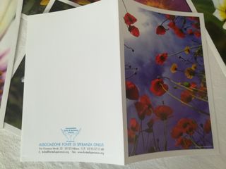 Lotto 50 pezzi biglietti con busta, floreali