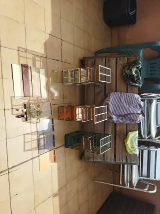 6 Jaulas Jilgueros con Fundas