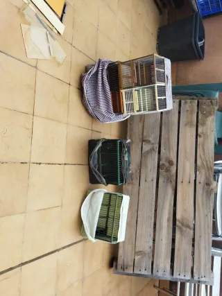 6 Jaulas Jilgueros con Fundas