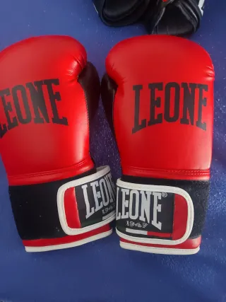 Guantes de boxeo Charlie,leone,everlast,outshock