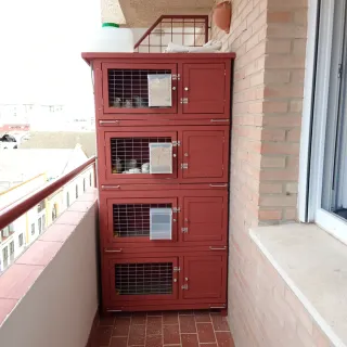 Gallinero/Pajarera 4 Pisos