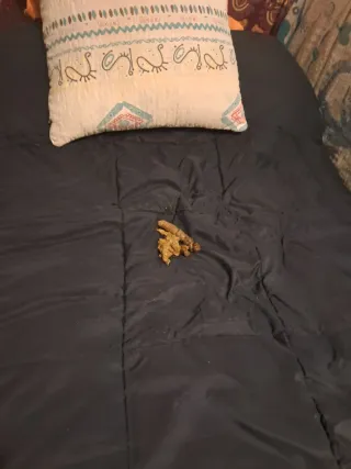 Chaqueta de Piel Negra Talla 42