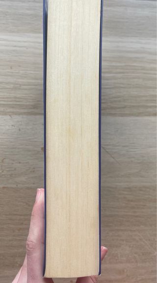 Un cuento perfecto / A Perfect Short Story (Spa...