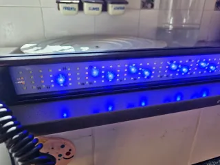 Pantalla LED Fluval Fresh & Plant 7500K