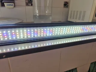 Pantalla LED Fluval Fresh & Plant 7500K