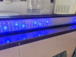 Pantalla LED Fluval Fresh & Plant 7500K