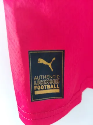 Camiseta Fútbol Puma Suiza 13 Roja