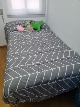 Cama 105cm + Colchón Casi Nuevos