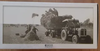 Ferguson T-20 1953 Tractor Miniatura