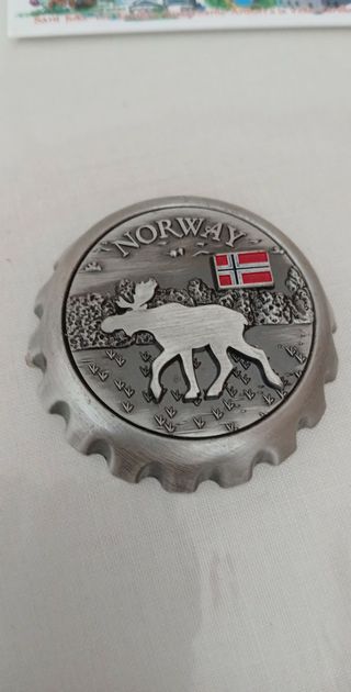 2 calamite frigo Norvegia alce