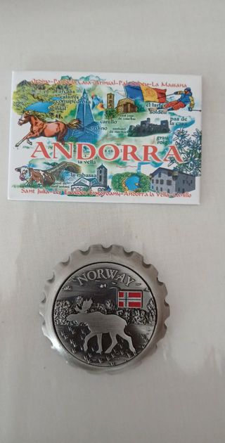 2 calamite frigo Norvegia alce