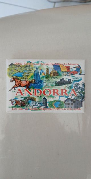 2 calamite frigo Norvegia alce