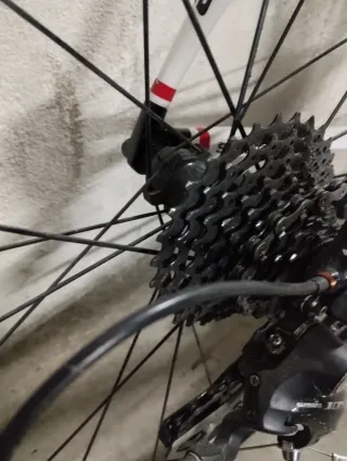 Bicicleta Carretera Cannondale Synapse Talla 56