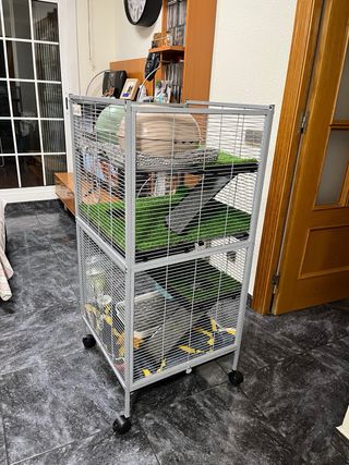 2 Jaulas para Hámster/Cobaya