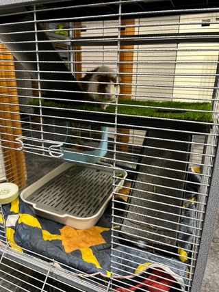 2 Jaulas para Hámster/Cobaya