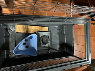 2 Jaulas para Hámster/Cobaya