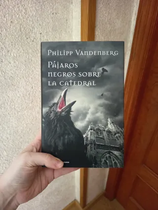 Pájaros Negros Sobre La Catedral