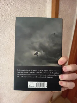 Pájaros Negros Sobre La Catedral