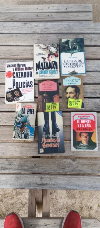 Lote de libros viejos