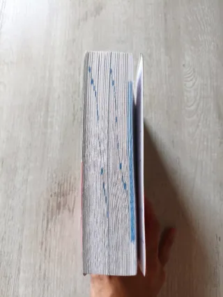 Diccionario Pocket Plus Italiano (Pocket Plus):...