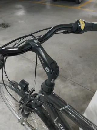 Bicicleta  29 pulgadas caballero