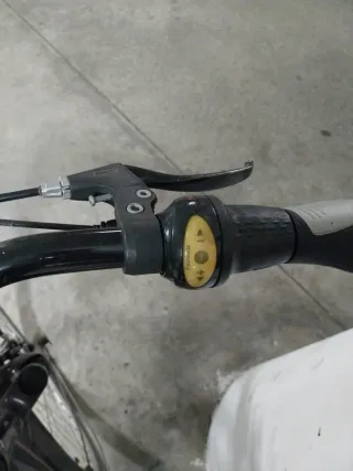 Bicicleta  29 pulgadas caballero