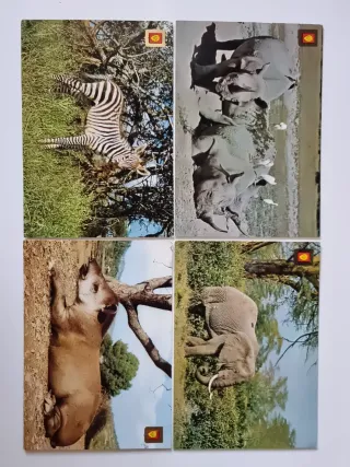 Lote 16 Cartoline Scudo d'Oro. Animali Selvatici.