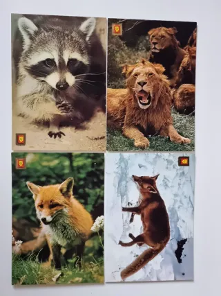 Lote 16 Cartoline Scudo d'Oro. Animali Selvatici.