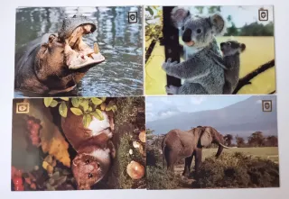 Lote 16 Cartoline Scudo d'Oro. Animali Selvatici.