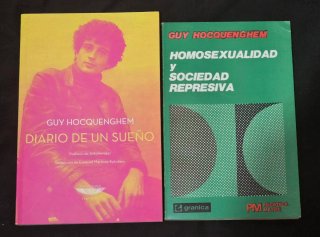 2 libros de guy hocquenghem diario de un sueño ENV
