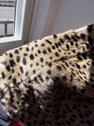 Abrigo estampado animal Pull&Bear Talla S