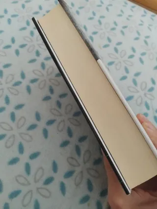 Libro de Sandra barneda un océano para llegar a ti