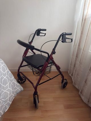 Carrito para persona mayor