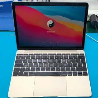 MacBook Retina 12 Apple Oro/Argento