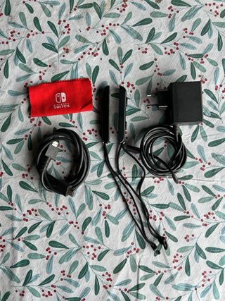 Nintendo Switch + Accesorios