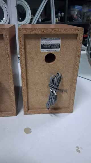 Pareja Altavoces Sony Marrones y Beige