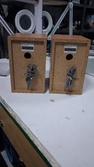 Pareja Altavoces Sony Marrones y Beige