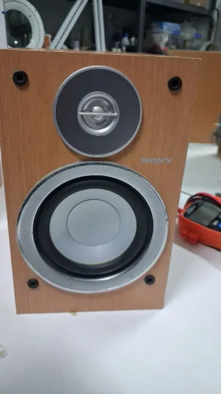 Pareja Altavoces Sony Marrones y Beige