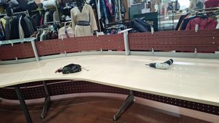 Mostrador de oficina curvo