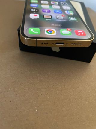 iPhone 13 Pro Oro